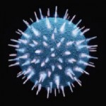 virus1
